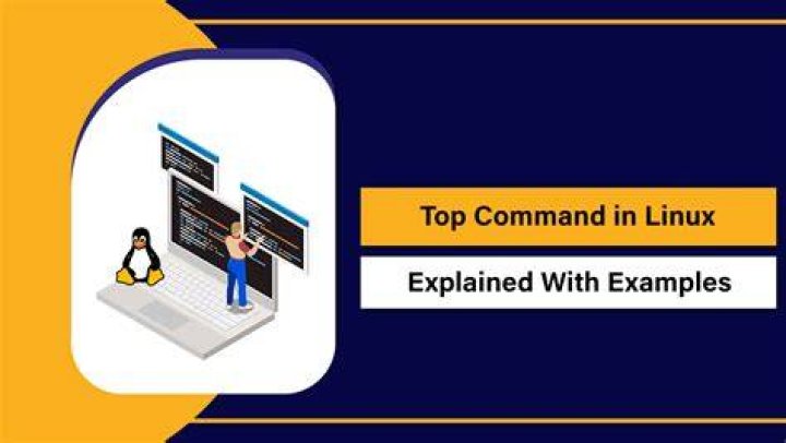 10 Ways to Use the top Command in Linux