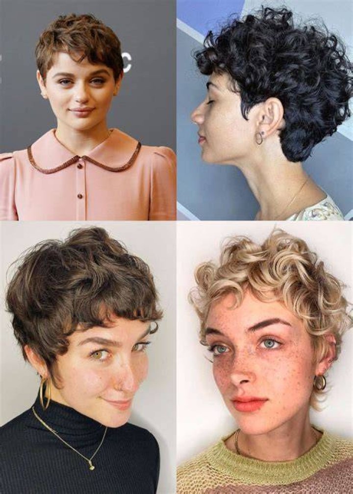 21 Cutest Curly Pixie Cuts for Curly Haired Girls Hairstyles VIP