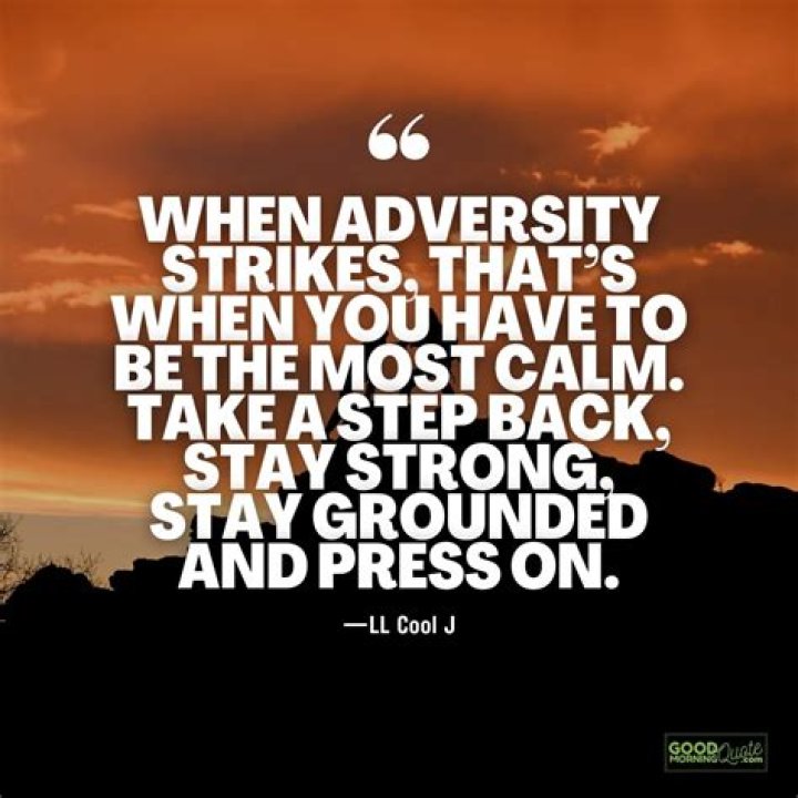 A Journey Through Adversity The Aubreigh Wyatt Story Molly