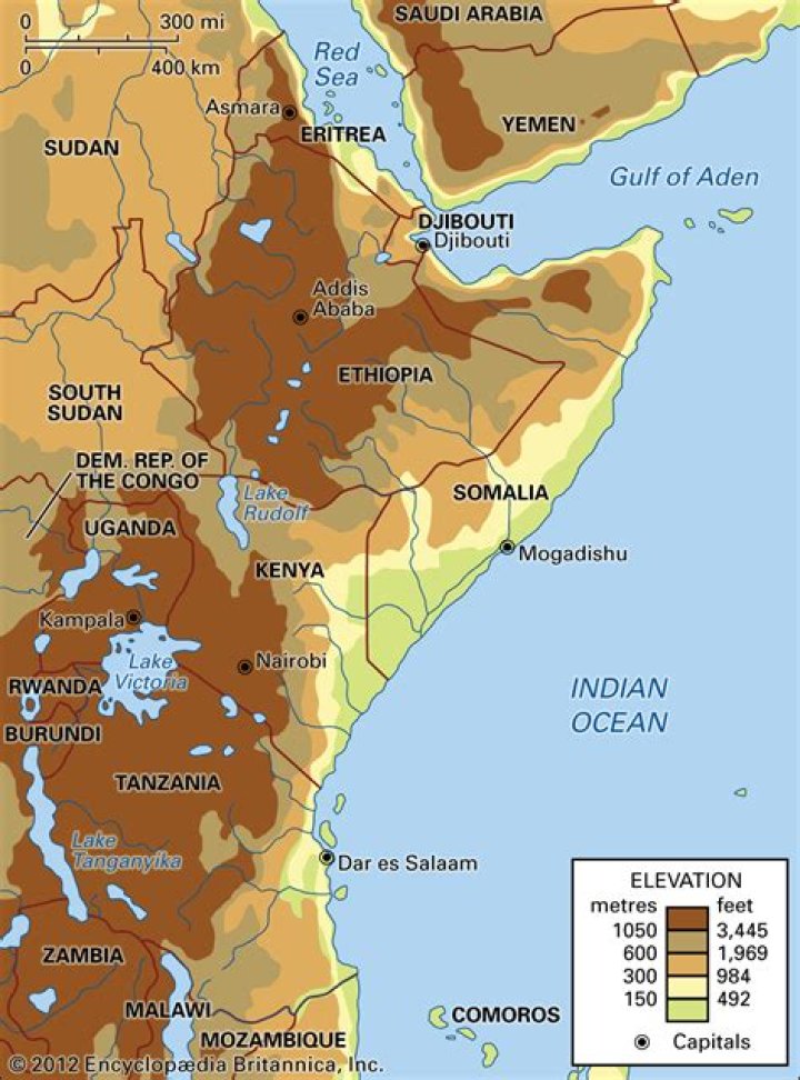 A map showing where to find Nesvaaz, a vendor in Radz-at-Han