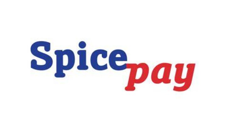 A visual from the SpicePay crypto payment gateway website