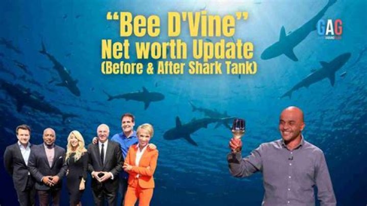 Bee D Vine Net Worth 2024
