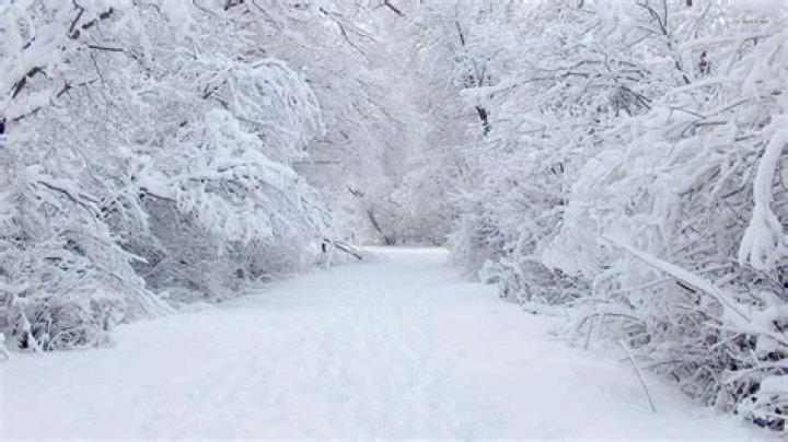 Blizzard