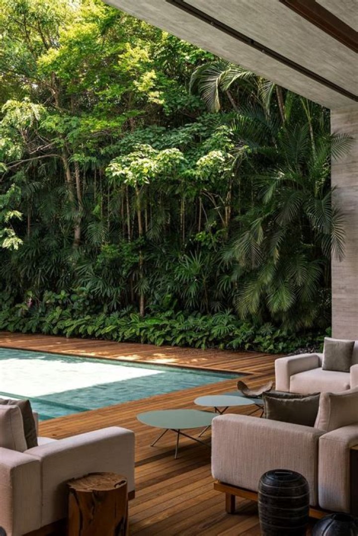 	BRAZIL IN OUR BACKYARD	