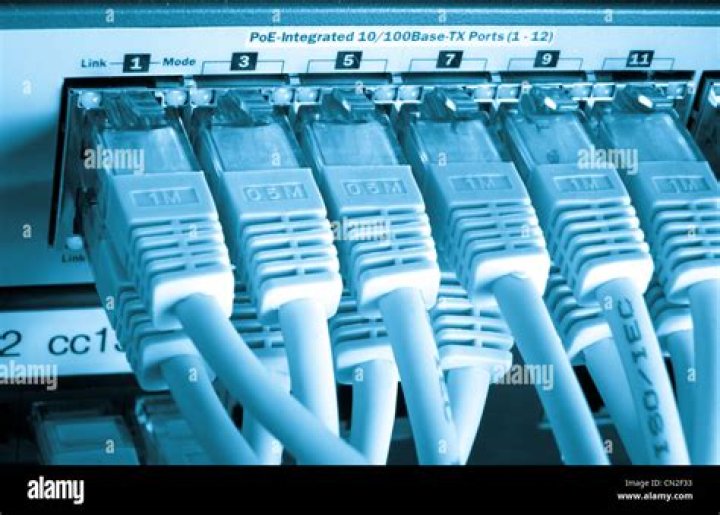 Cables Connected to White Switch Hub for Internet