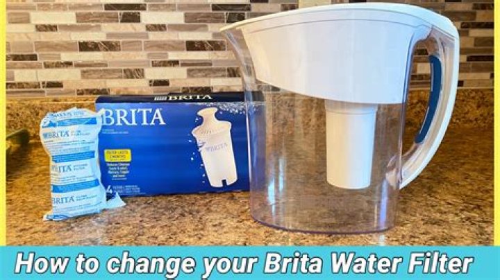 	Can a Brita filter remove lead?	