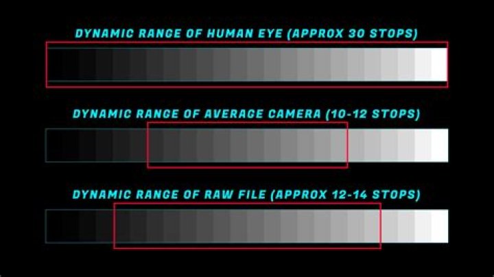 Chart showing dynamic range