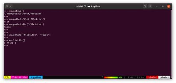 check filenames using python