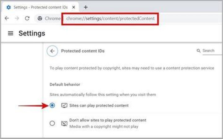 chrome protected content IDs