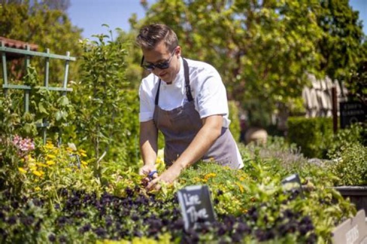 Community Table Dinner with Chef Carlos Anthony of Herb & Wood June
