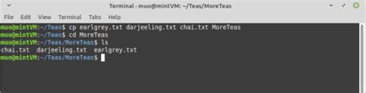 Copying Multiple Files with Cp Command