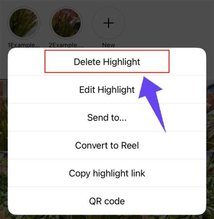 Delete note and Delete highlight options in Kindle for Mac Notebook