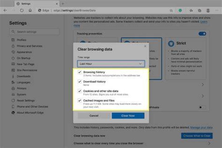 Delete the Web Browser Data From the Web Browser Tab of Steam Settings