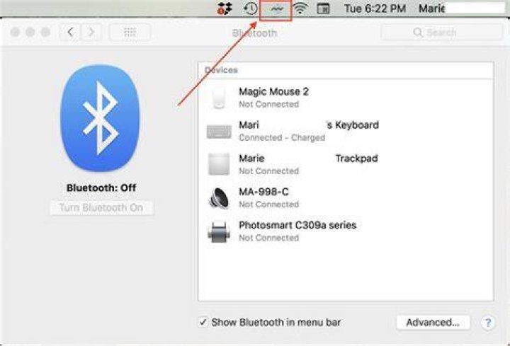 Deleting the Bluetooth preferences file on the Mac.