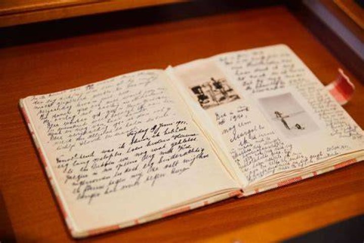 diary from writediary.com changing colors and style