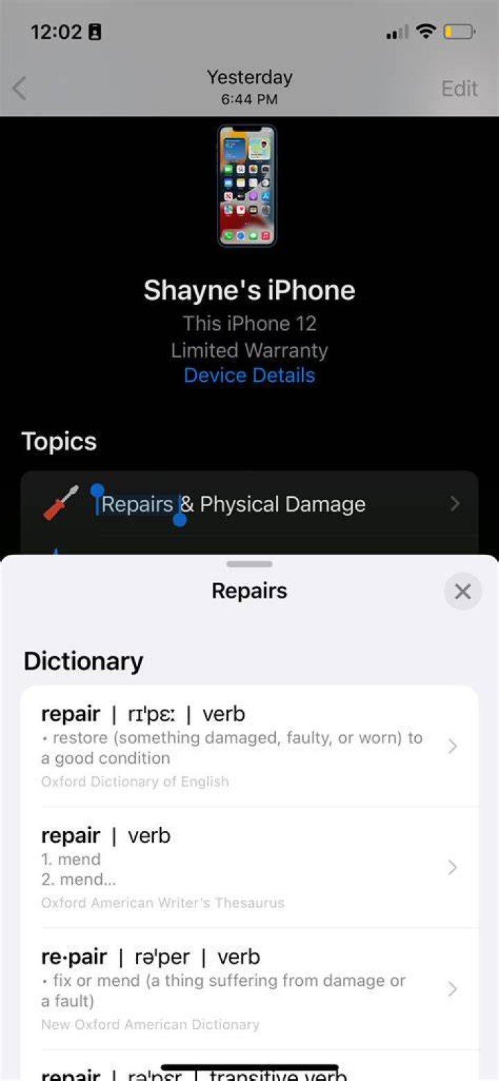 Dictionary in iPhone showing definition of highlighted text