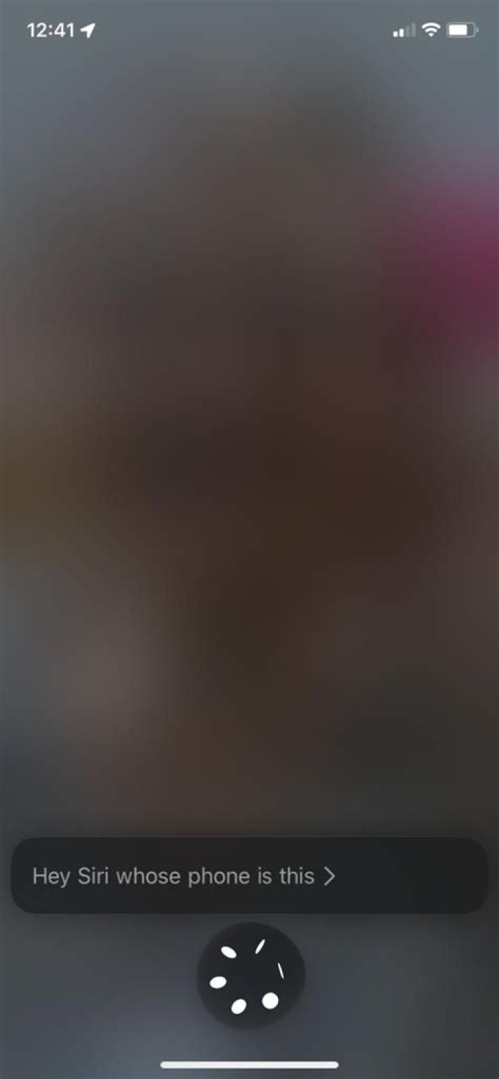 disable Face ID using Siri