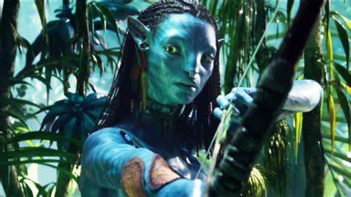 Does Avatar 2 have an intermission? Explained