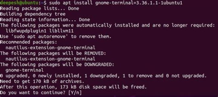 downgrading a package on ubuntu