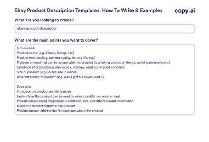 ebay product description