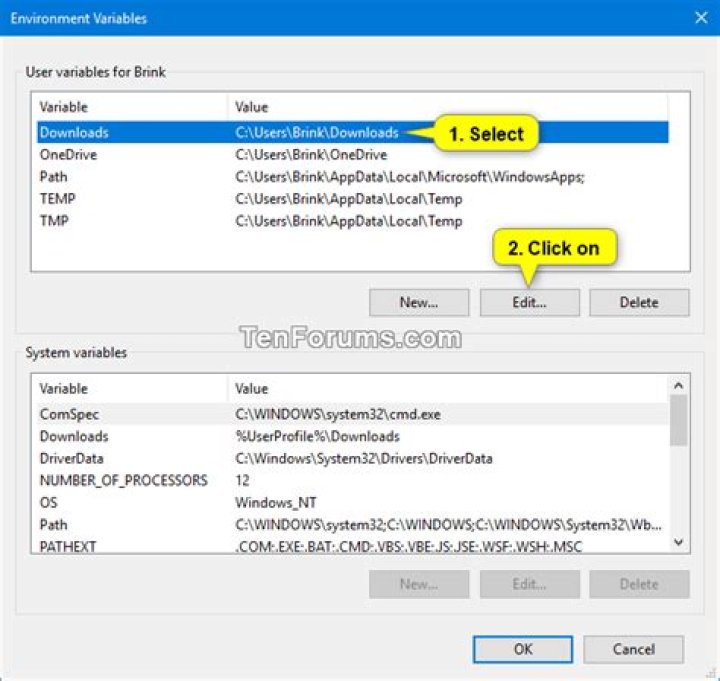 Edit System Variables Option