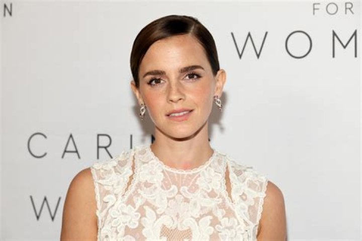 Emma Watson's 'boyfriend' Matt Janney celebrates rugby win Daily Mail