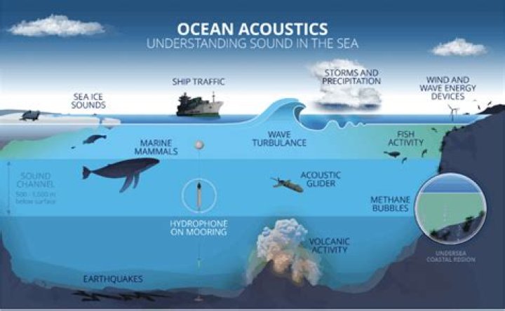 Exploring The Soundscape Bands Like U2