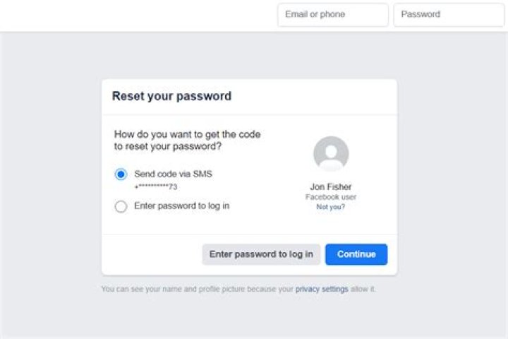 Facebook Reset Your Password