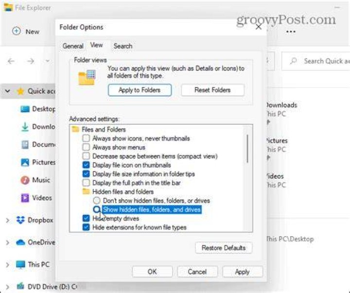 Folder options in File Explorer