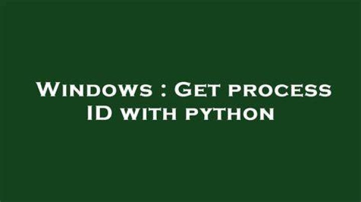 get process id with python