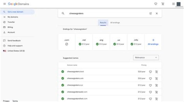 Google Domains search