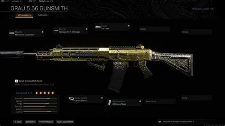 Grau Warzone loadout