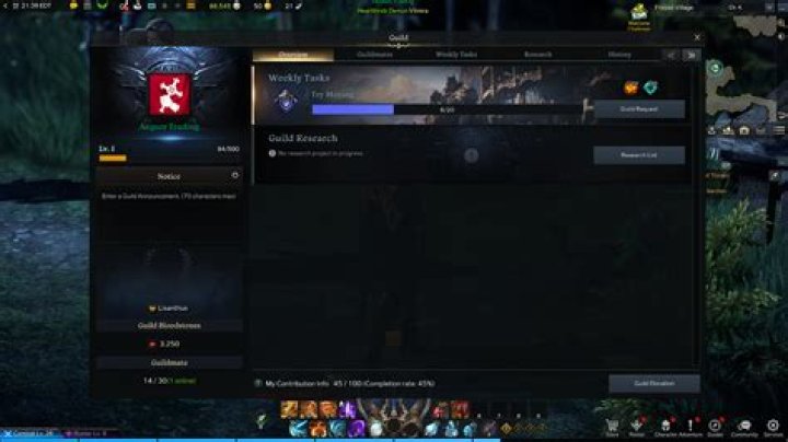 Guild Lost Ark