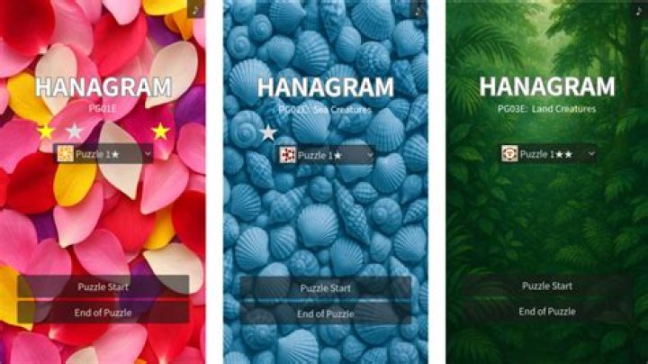Hanagram