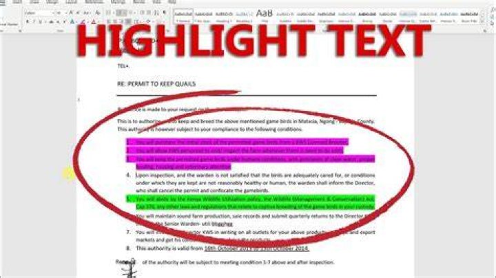 highlight paragraph