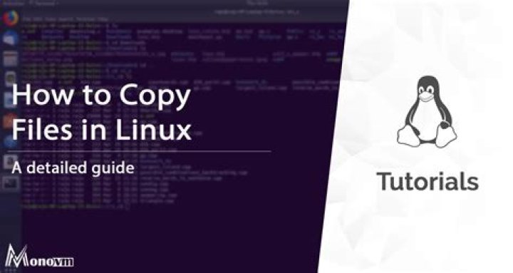 How to Copy Files in Linux With the cp Command