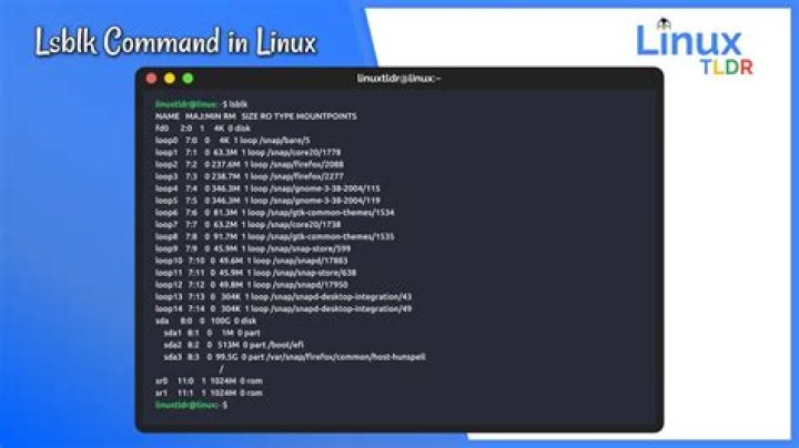 How to Use the lsblk Command to List Block Devices on Linux