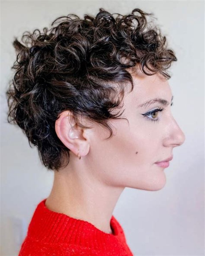 Incredble Curly Pixie Cuts You will Love Short Hairstyles 2017 2018