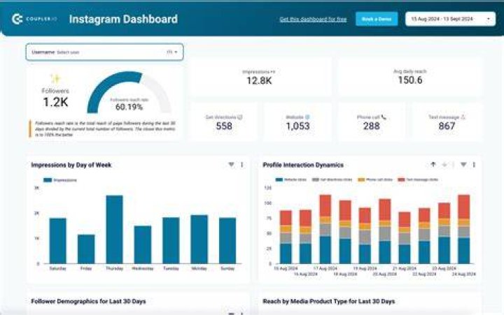 Instagram Report