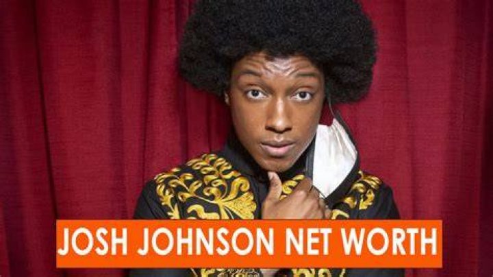 Josh Johnson Net Worth 2024