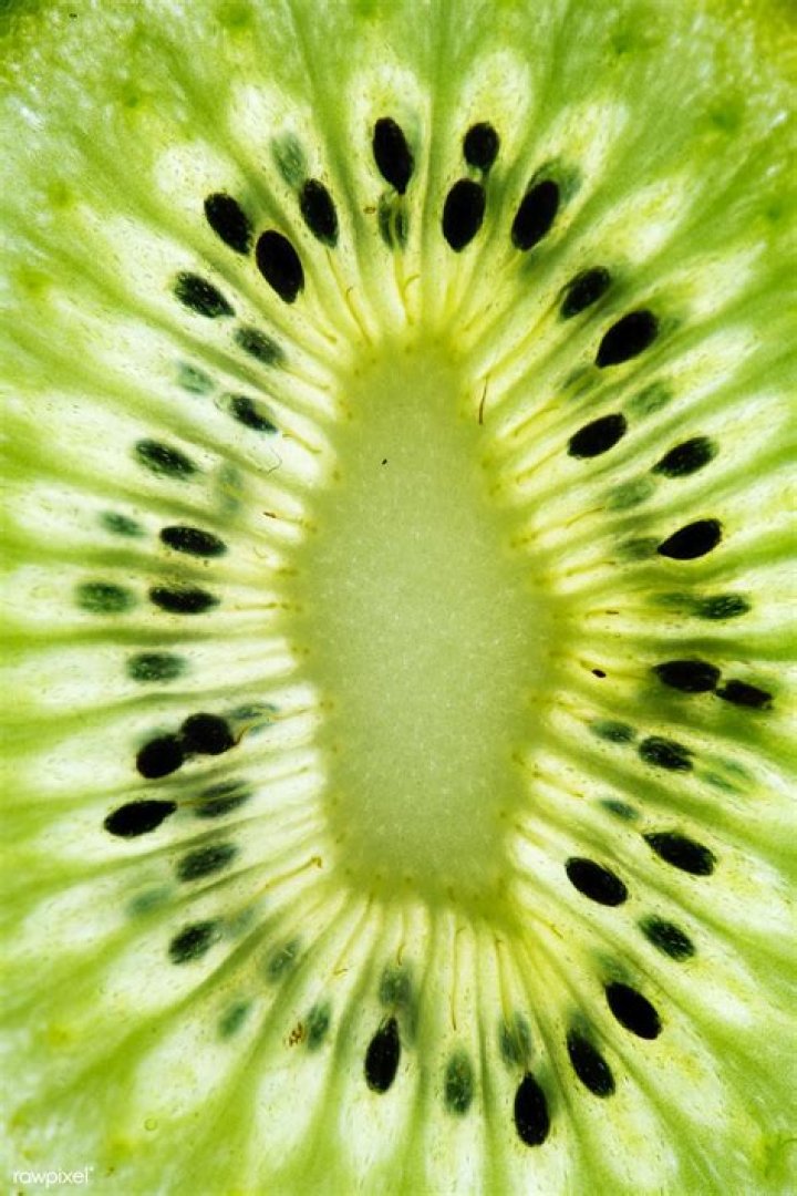 Kiwi's Chrome Web Store