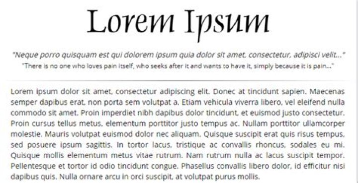 Loremipsum.com Text