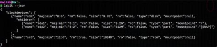 lsblk command output in json