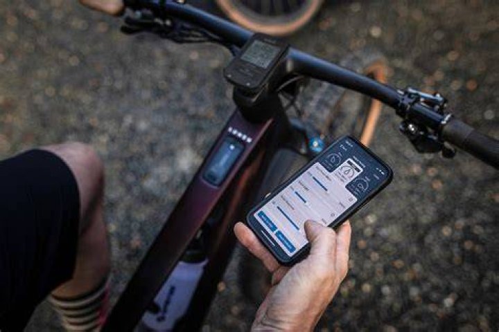 lumen app - setup 2 weight