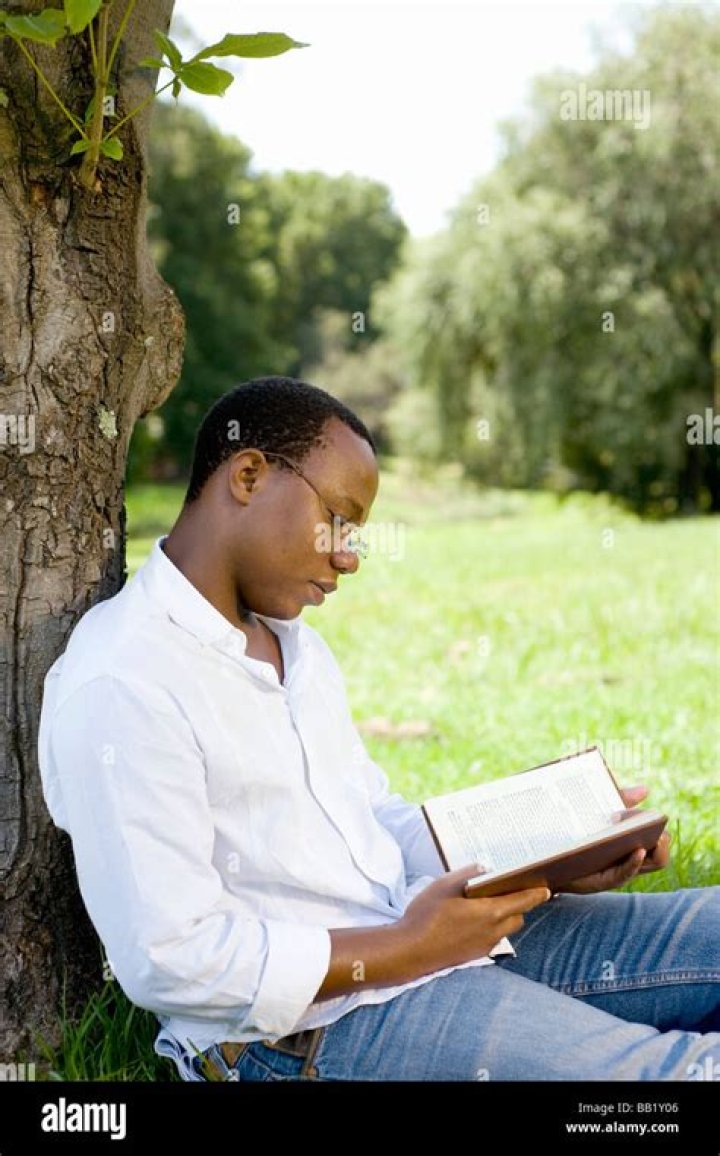 Man reading under a tree at sunset