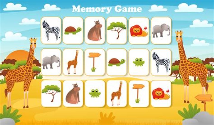 memory games with animals settings