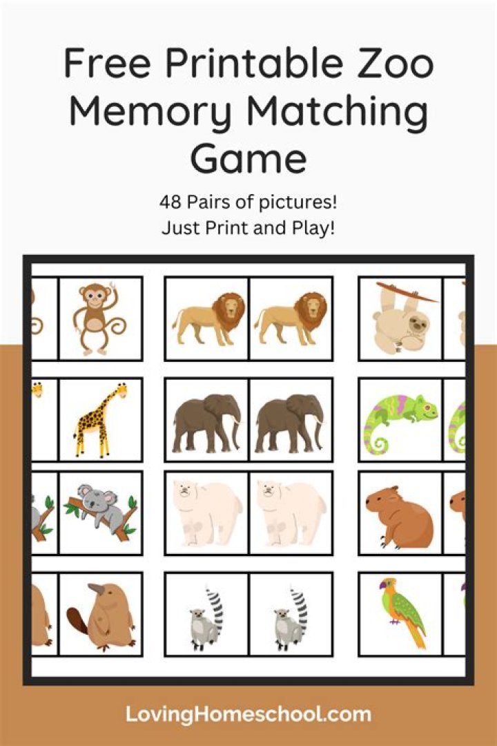 memory games with animals