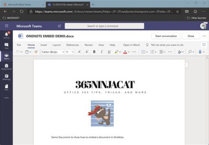 Microsoft OneNote - Live Embed