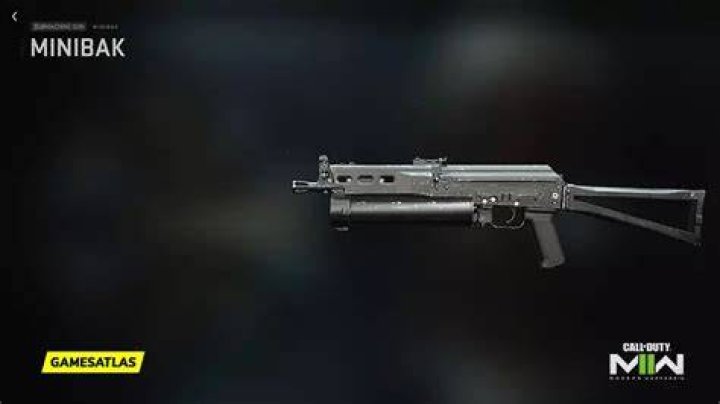 MINIBAK in CoD Warzone