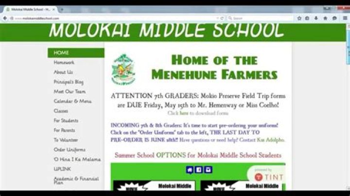 MMS Website Tutorial Part 1 YouTube